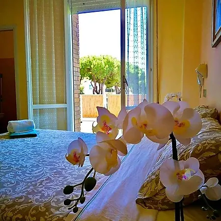 Hotel Rossella Rimini