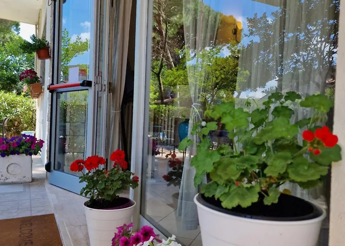 Rossella ريميني